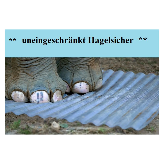 Lichtplatte / Wellplatte Wabe Sinus 76/18 klar